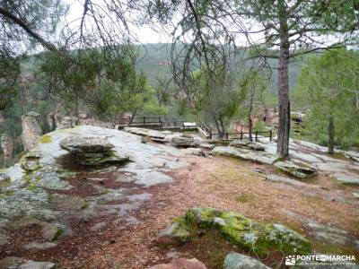 Daroca Salvaje_Gallocanta-Pinsapar de Orcajo; valles de los pirineos sierra guadalajara ruta lagos c